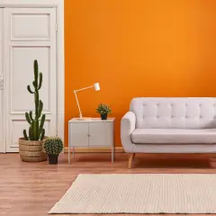 Ein helles Wohnzimmer mit einer leuchtend orangen Wand, die moderne Wandfarben perfekt zur Geltung bringt. Ein graues Sofa und Kakteen schaffen eine gemütliche Atmosphäre.