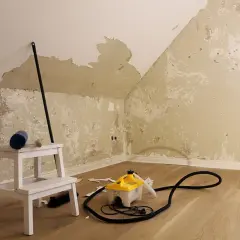 Ein Dampfreiniger und ein Spachtel liegen bereit, um die alte Tapete zu entfernen.