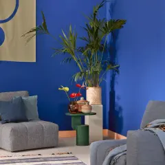Ein gemütliches blaues Zimmer einrichten mit bequemen Sesseln, Pflanzen und Deko.