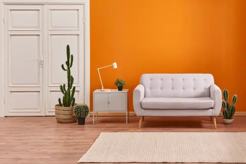 Ein helles Wohnzimmer mit einer leuchtend orangen Wand, die moderne Wandfarben perfekt zur Geltung bringt. Ein graues Sofa und Kakteen schaffen eine gemütliche Atmosphäre.