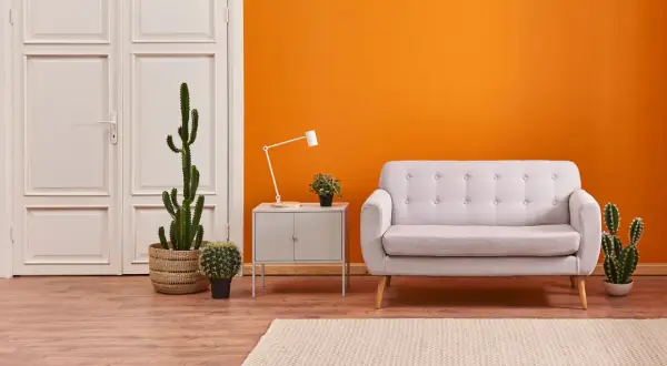 Ein helles Wohnzimmer mit einer leuchtend orangen Wand, die moderne Wandfarben perfekt zur Geltung bringt. Ein graues Sofa und Kakteen schaffen eine gemütliche Atmosphäre.