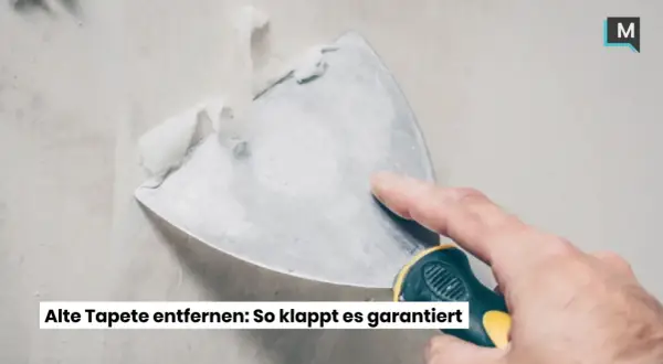 Mit einem Spachtel wird spaltbare Vliestapete entfernt. Die alte Tapete lässt sich so leicht ablösen.