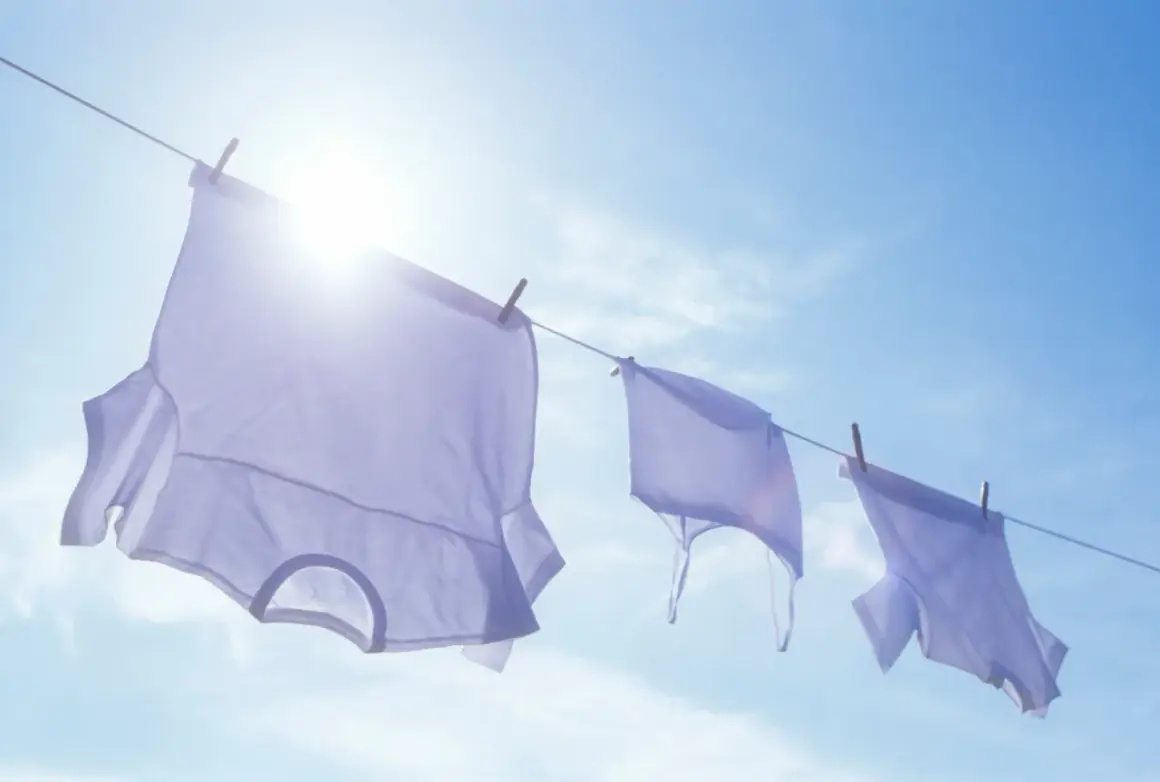 Drei weiße T-Shirts trocknen an einer Wäscheleine im Sonnenschein. Die Frage, wie oft man ein T-Shirt wechseln sollte, wird hier bildlich beantwortet: Wenn es frisch gewaschen ist!