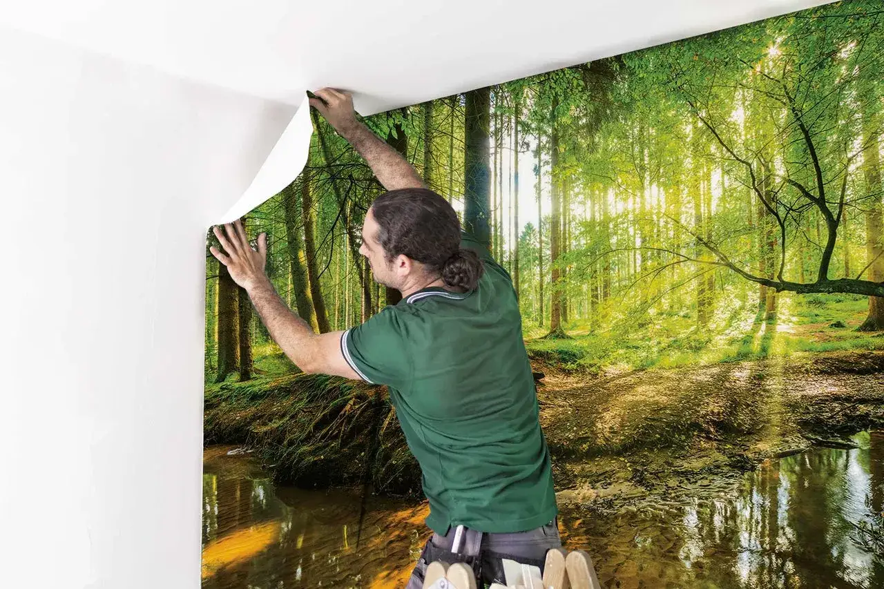 Mann bringt eine Fototapete auf Raufaser an. Ein sonniger Wald mit Bach wird sichtbar.