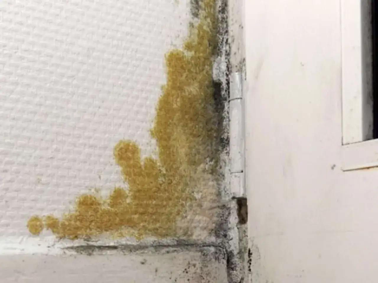 Gelbe und schwarze Flecken auf weißer Raufasertapete, die auf Fettflecken hindeuten.