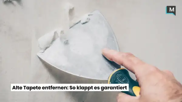 Mit einem Spachtel wird spaltbare Vliestapete entfernt. Die alte Tapete lässt sich so leicht ablösen.
